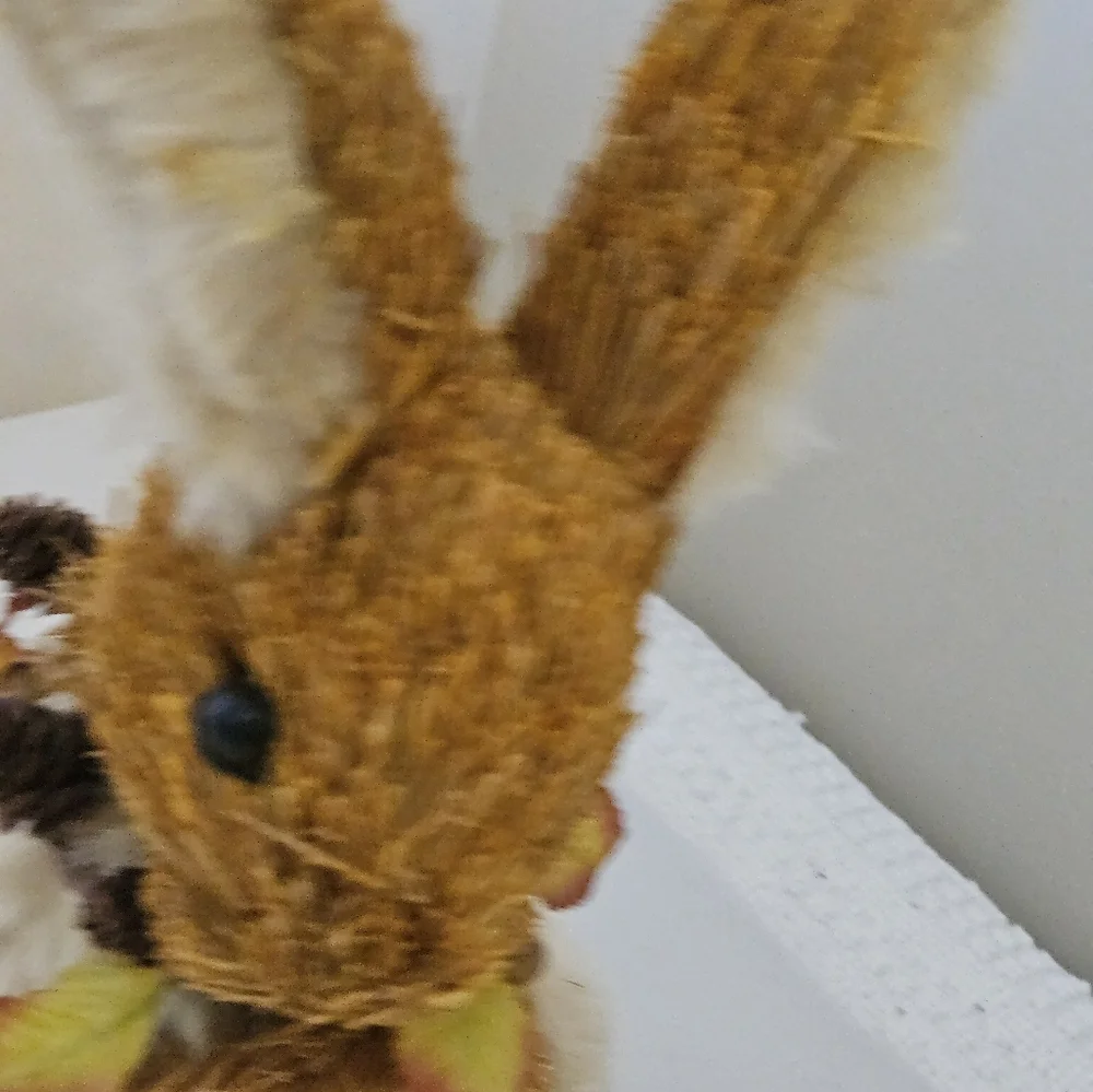 Charming Pier 1 Sisal Fall Bunny.
